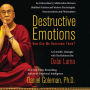 Destructive Emotions: A Scientific Dialogue with the Dalai Lama (Abridged)
