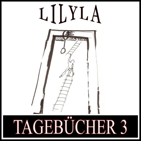 Tagebücher 3: Tagebücher1914, 1916, 1917-1923