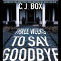 Three Weeks to Say Goodbye: A Novel