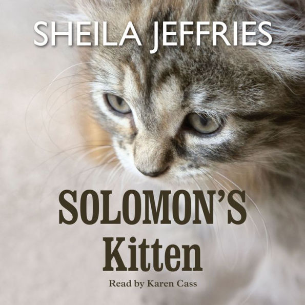 Solomon's Kitten