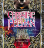 Dark Storm (Carpathian Series #23)