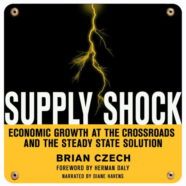 Supply Shock: Economic Growth at the Crossroads and the Steady State Solution