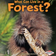 What Can Live in a Forest?