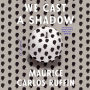 We Cast a Shadow: A Novel