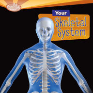 Your Skeletal System