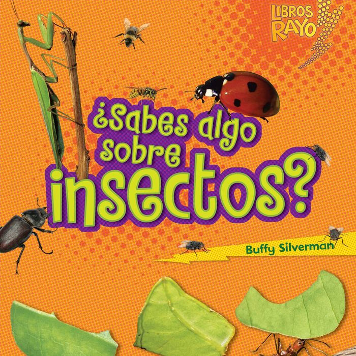 ¿Sabes algo sobre insectos? (Do You Know about Insects?)