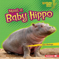 Meet a Baby Hippo