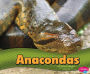 Anacondas