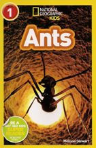 Ants