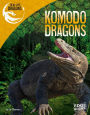 Komodo Dragons