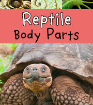 Reptile Body Parts