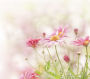 Meditation for Healthy Pregnancy (With Soothing Nature Sounds): Relieve Stress, Labor Pain, Sleep Better and Heal Faster