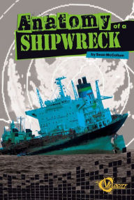 Anatomy of a Shipwreck