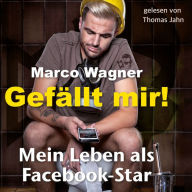 Gefällt mir! : Mein Leben als Facebook-Star