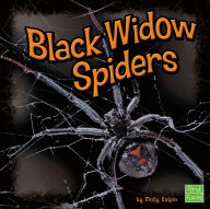 Black Widow Spiders