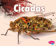 Cicadas