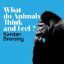 What Do Animals Think and Feel?