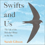 Swifts and Us: The Life of the Bird that Sleeps in the Sky