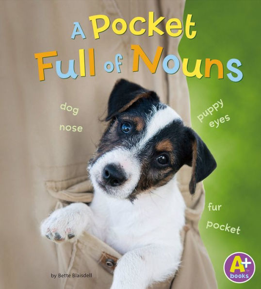 A Pocket Full of Nouns