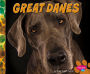 Great Danes