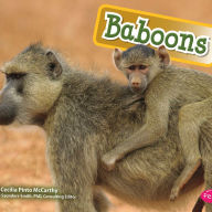 Baboons