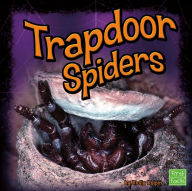 Trapdoor Spiders