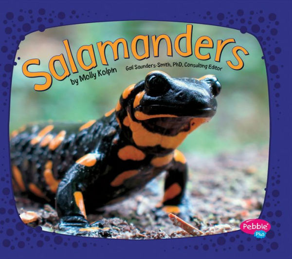 Salamanders