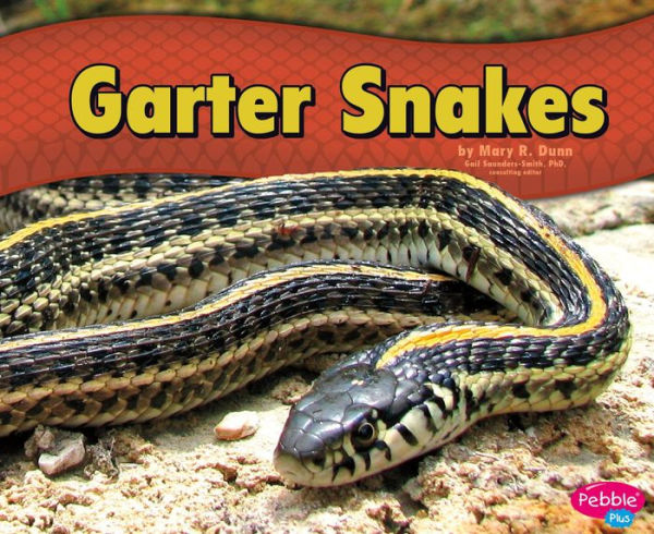 Garter Snakes