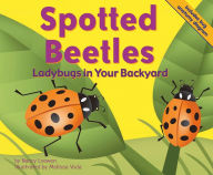 Spotted Beetles : Ladybugs in Your Backyard