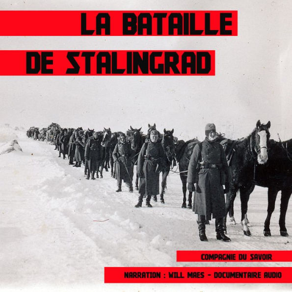 La bataille de Stalingrad: Les grandes batailles