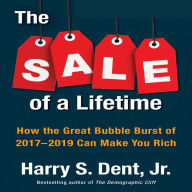 The Sale of a Lifetime: How the Great Bubble Burst of 2017-2019 Can Make You Rich