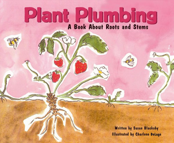 Plant Plumbing : A Book About Roots and Stems