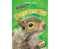 Baby Squirrels