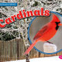 Cardinals