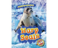 Harp Seals