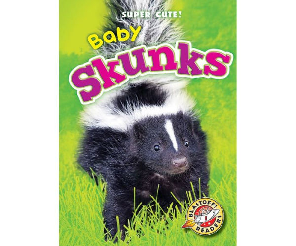 Baby Skunks