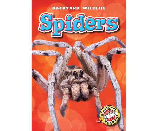 Spiders
