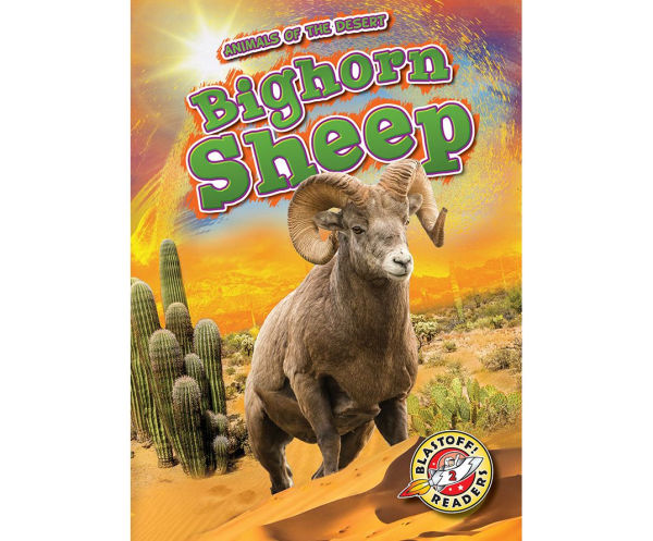 Bighorn Sheep