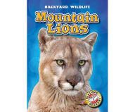 Mountain Lions