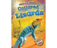 Collared Lizards