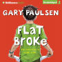 Flat Broke: The Theory, Practice and Destructive Properties of Greed