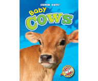 Baby Cows