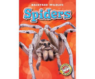 Spiders