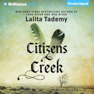 Citizens Creek: A Novel