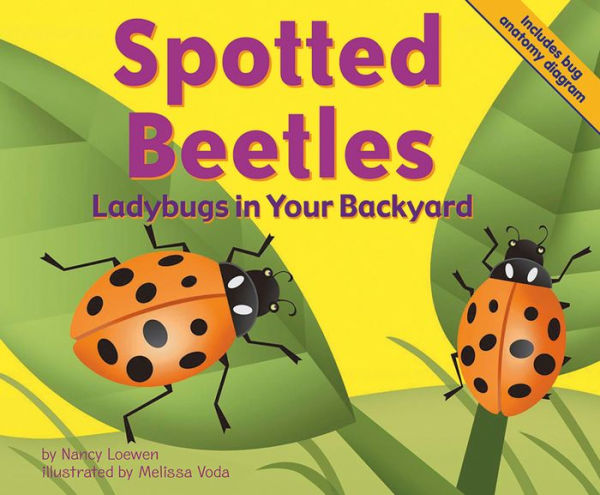 Spotted Beetles: Ladybugs in Your Backyard