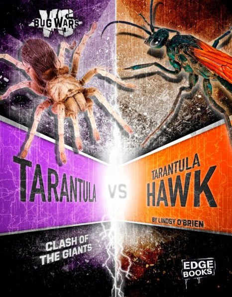 Tarantula vs. Tarantula Hawk : Clash of the Giants