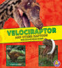 Velociraptor and Other Raptors : The Need-to-Know Facts