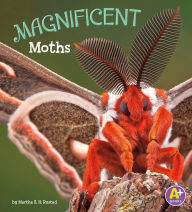 Magnificent Moths