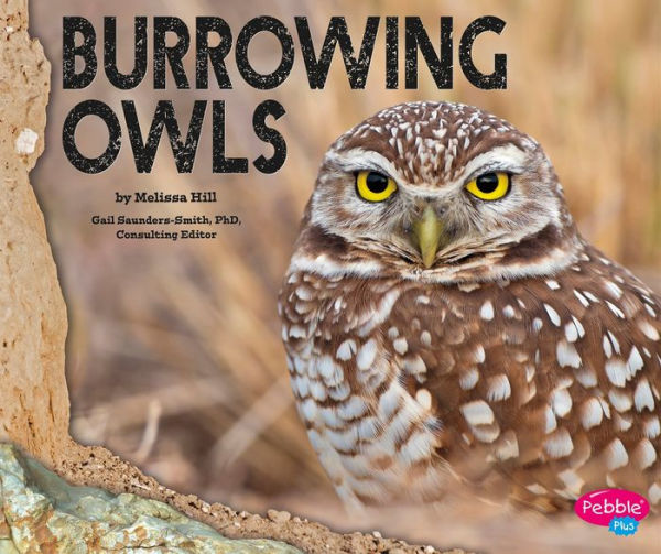 Burrowing Owls