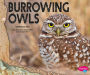 Burrowing Owls